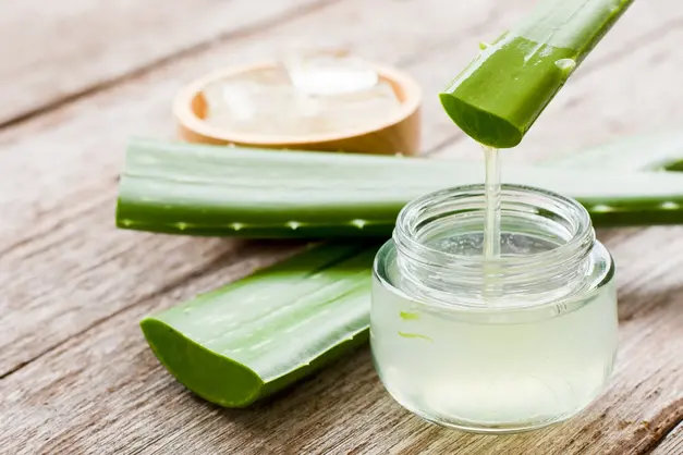 Imagen de una hoja de aloe vera para aliviar picadura de tábano