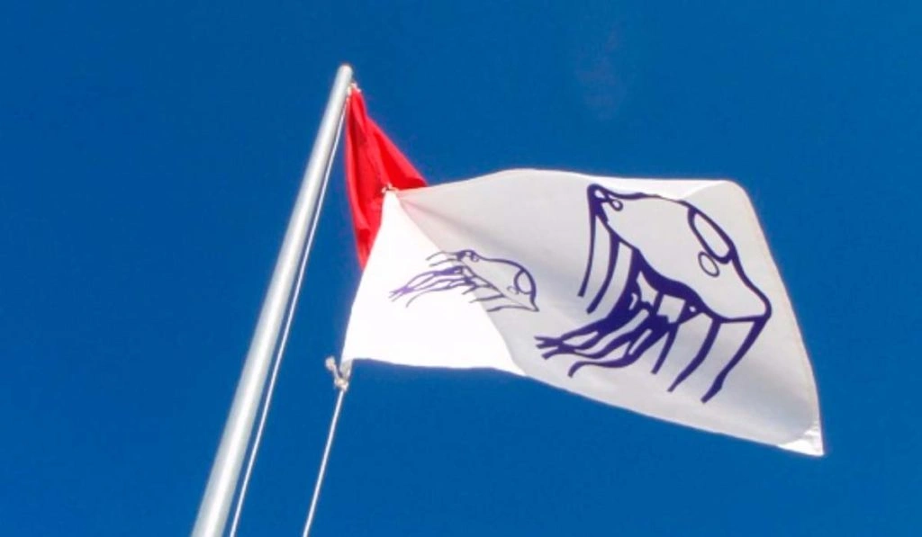 Imagen de una bandera de avistamiento de medusas, junto a la bandera de color habitual.